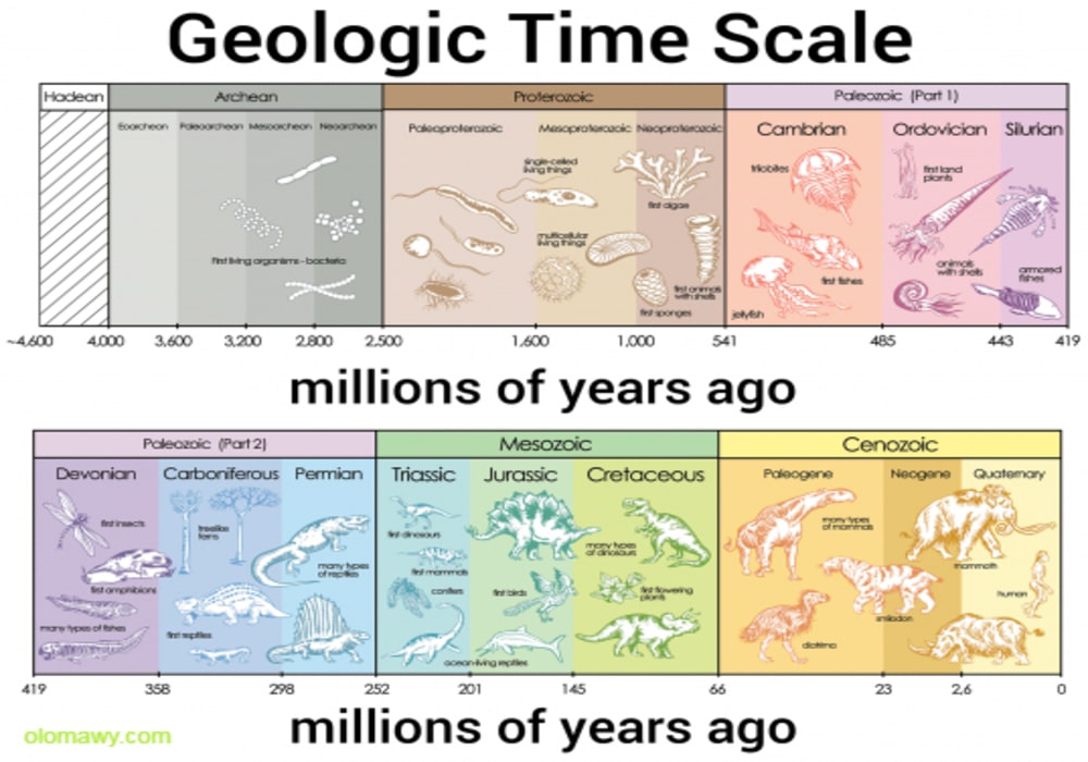 الزمن الجيولوجي