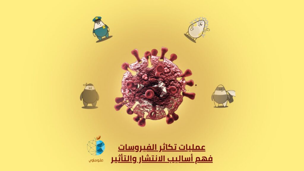 عمليات تكاثر الفيروسات